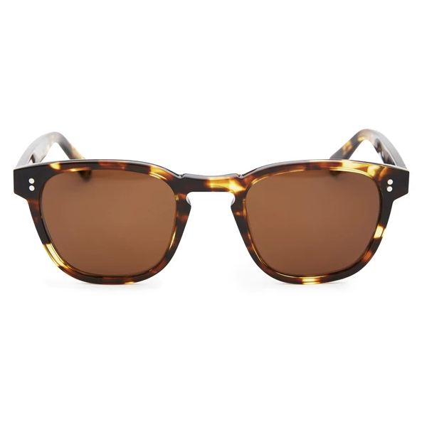 Pacifico Optical Yacht Master - Cola With Polarised Brown Lens