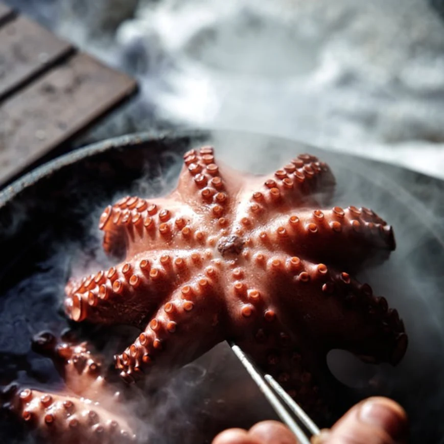 THE BASTARD VX Complete Kamado Charcoal Grill - Medium