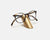 Craighill Eyewear Stand