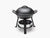 Barebones All-in-One Cast Iron Grill