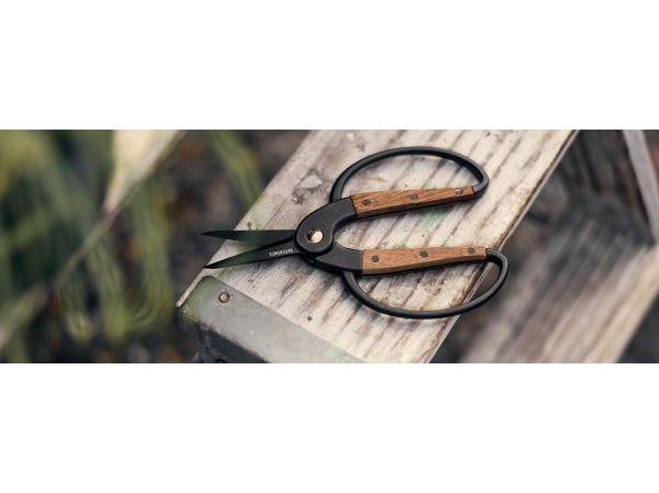 Barebones Living Large Scissors Knife Stainless Steel Blade Walnut Handle  058