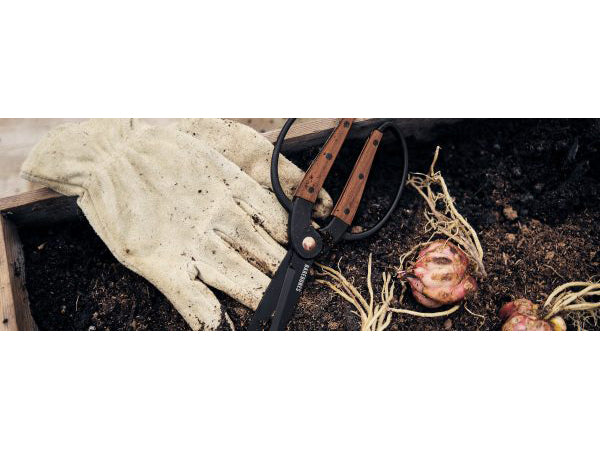 Barebones Scissors Large – Walnut