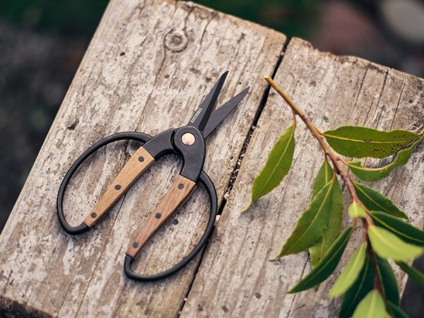 Barebones Scissors Small – Walnut