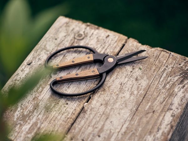 Barebones Scissors Small – Walnut