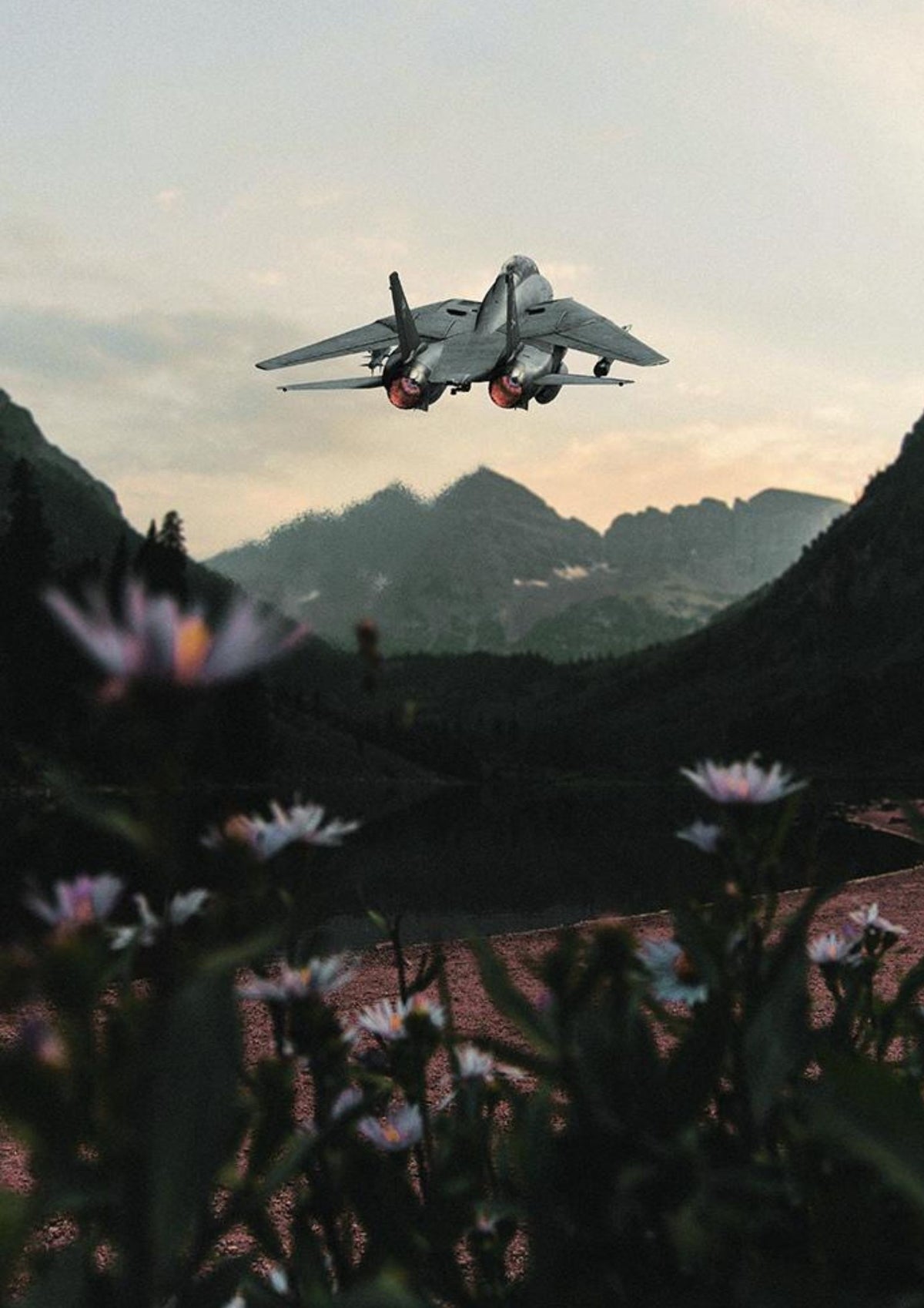 &quot;Tomcat over Flowers&quot;