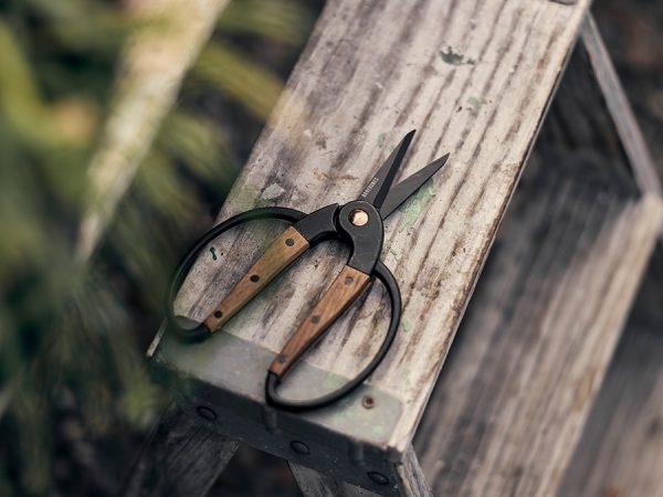 Barebones Scissors Small – Walnut