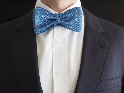 Hound Bowties The Dachshund