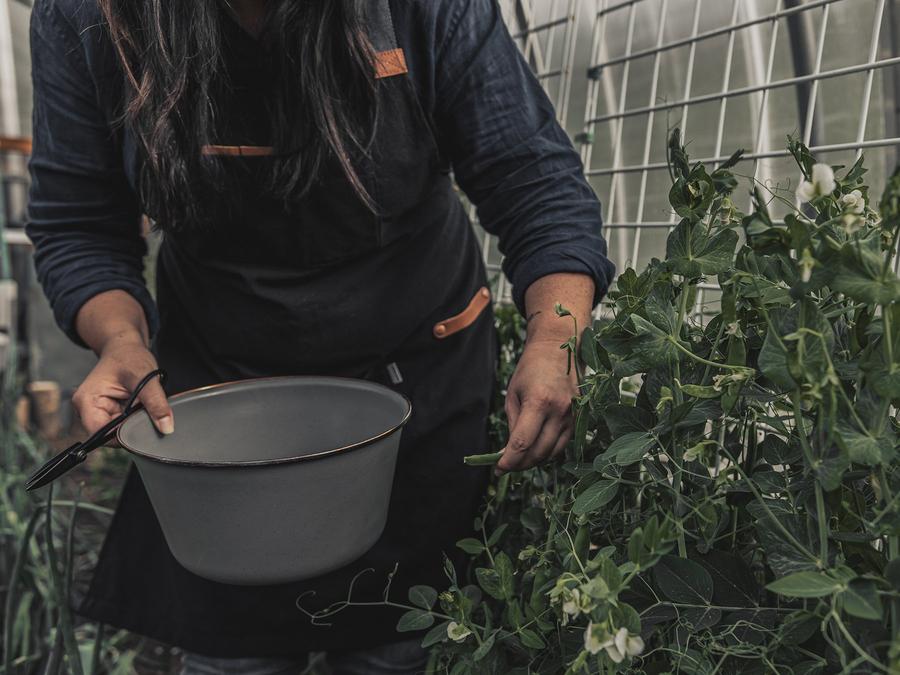 Barebones Chef Grilling Apron
