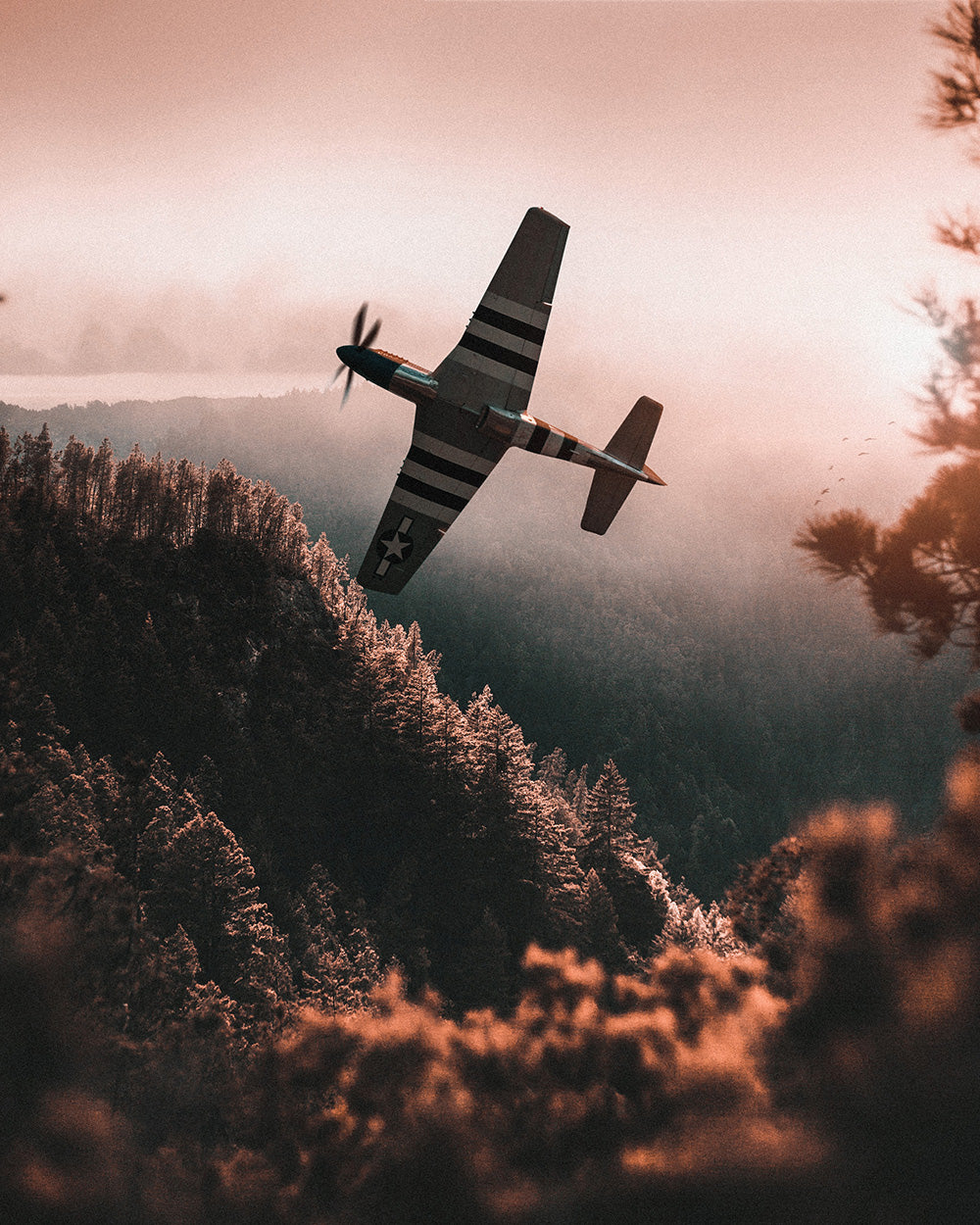 &quot;Cadillac&quot;